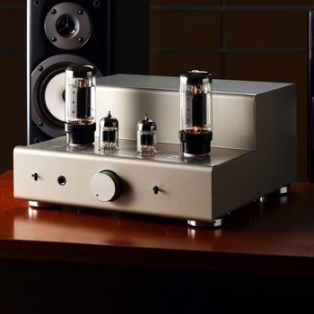 6L6GC SINGLE TUBE AMP KIT