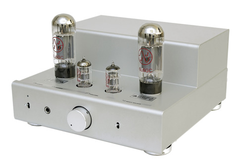 6L6GC SINGLE TUBE AMP KIT