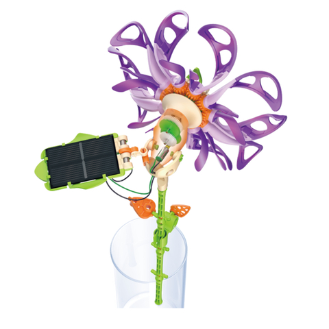 カレイドフラワー [ JS-6218 ]