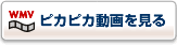 ピカピカ動画を見る